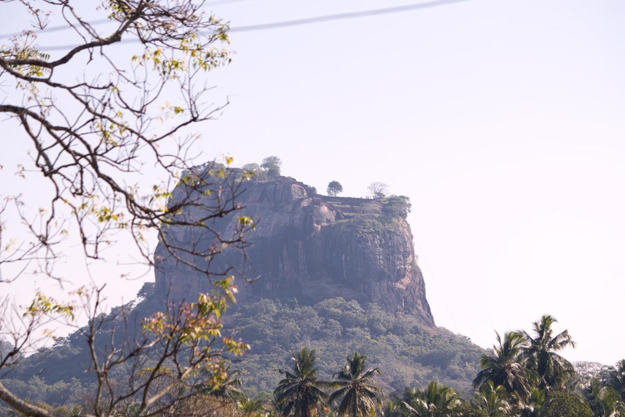 Royal Rock Sigiriya Exterior foto